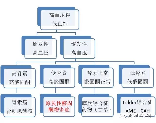 肾素浓度、醛固酮及血管紧张素ii检测