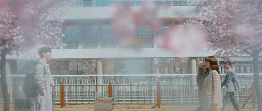 《请输入搜索词:www》林秀晶诠释干练优雅职场穿搭