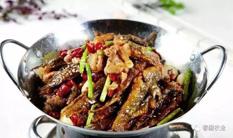 干锅泥鳅: 将泥鳅洗净沥干水,加入少许盐,黑胡椒粉腌制10分钟油锅热后