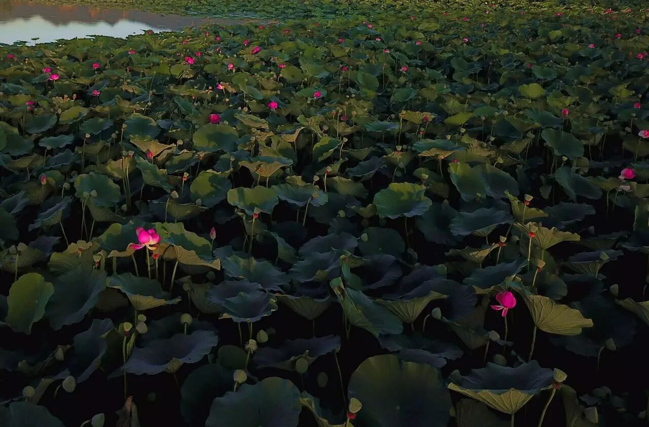 大同神溪国家湿地公园打造生态新景点