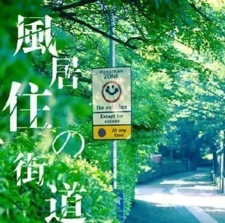 风居住的街道——不同乐器的非凡表现