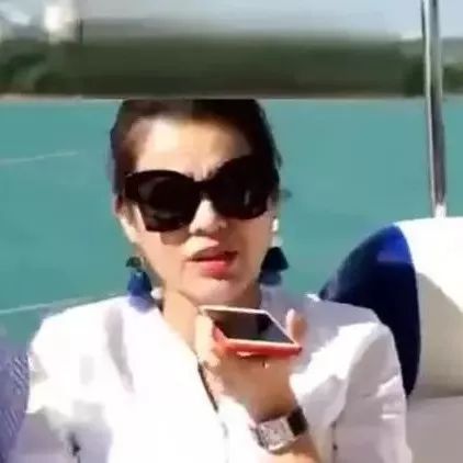 胡杏儿旅途中大发脾气 越洋电话投诉胡定欣