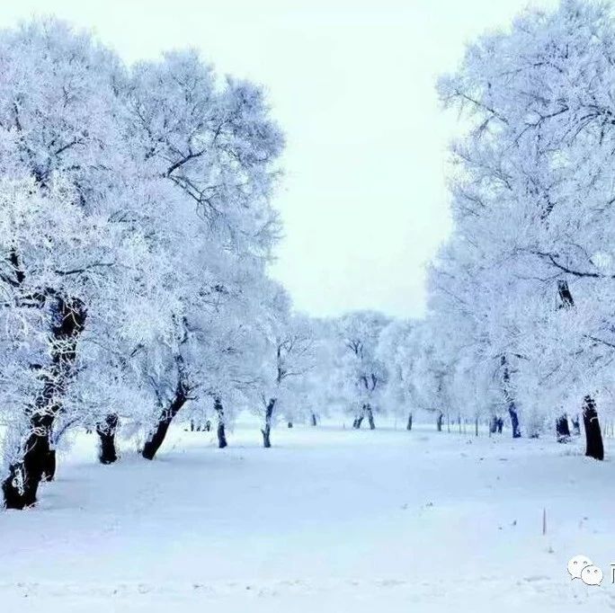 【雪乡C线路】雪村,不为人知的水墨童话,如果你不想去雪乡,就来雪村吧!