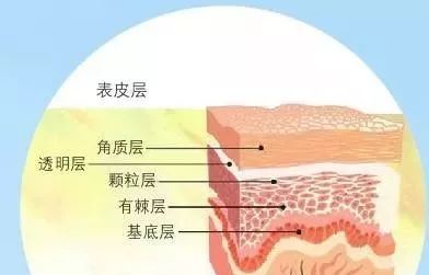 皮肤管理师必懂的知识 abcde929326184的主页