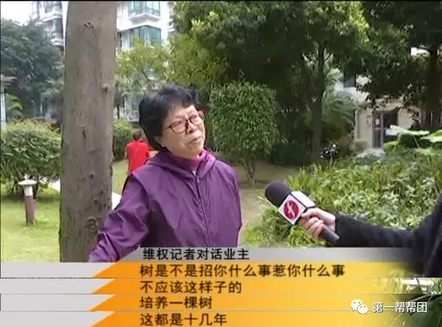 業(yè)主搭梯連鋸6棵樹木 只因擋了他家的光線