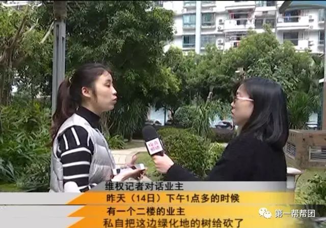 业主搭梯连锯6棵树木 只因挡了他家的光线