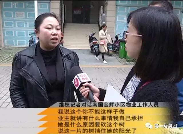 业主搭梯连锯6棵树木 只因挡了他家的光线