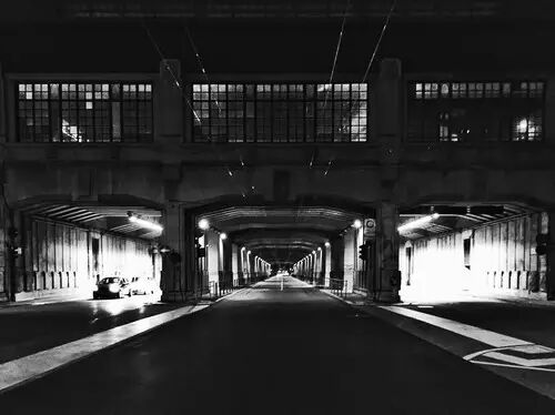 怀孕的肚子,就是一只猫咪的脑袋-怀孕期