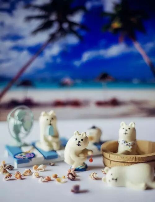 怀孕的肚子,就是一只猫咪的脑袋-怀孕期