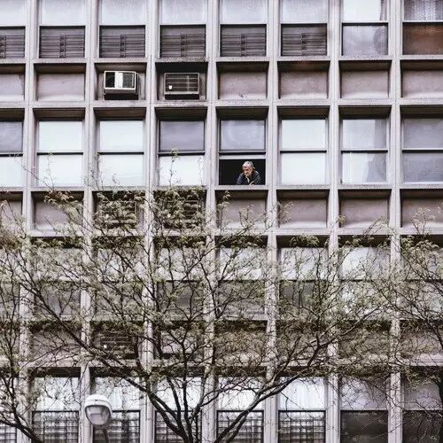 怀孕的肚子,就是一只猫咪的脑袋-怀孕期