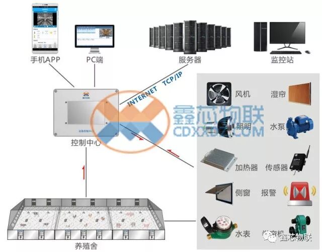 物聯網智能養殖時代：一人一年可以養萬頭豬|新聞資訊-成都鑫芯電子科技有限公司