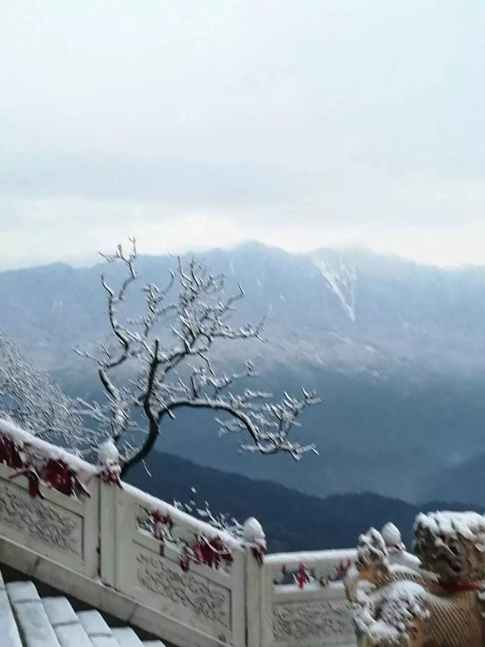 除却各家诗词,青城雪景尚有诸多迷人之处,小编再为各位善信奉上雪景