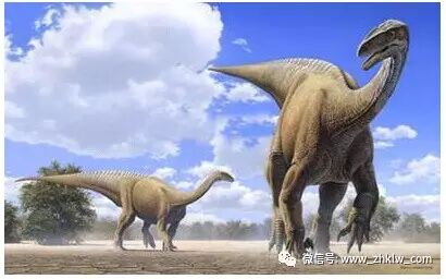 中国最后一只恐龙_最后一只恐龙纳尔视频_lol纳尔最后一只恐龙多少钱