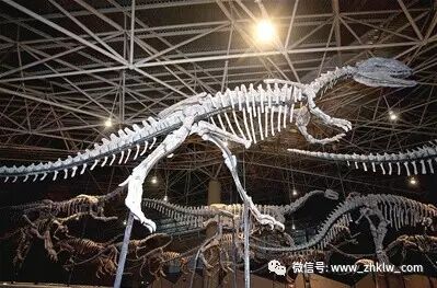 中国最后一只恐龙 中国发现的第一只恐龙到底是什么龙？