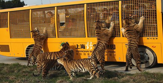 上海野生动物园