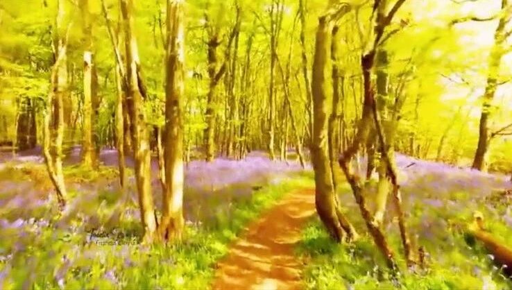 今日，处暑！祝您秋安~