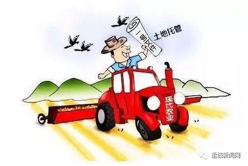 土地托管模式落地运城市芮城
