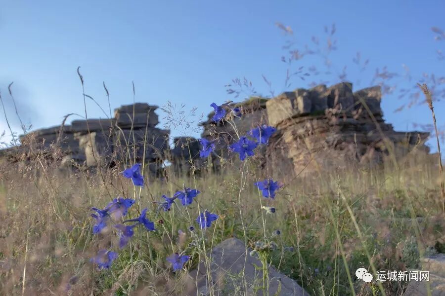 舜王坪美景《日出山花红、日落云霞美》