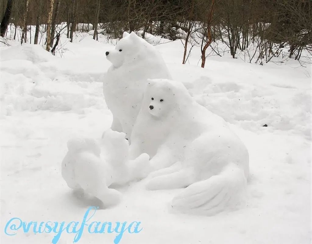 还以为一家三口萨摩在雪地玩耍，走近一看才发现..