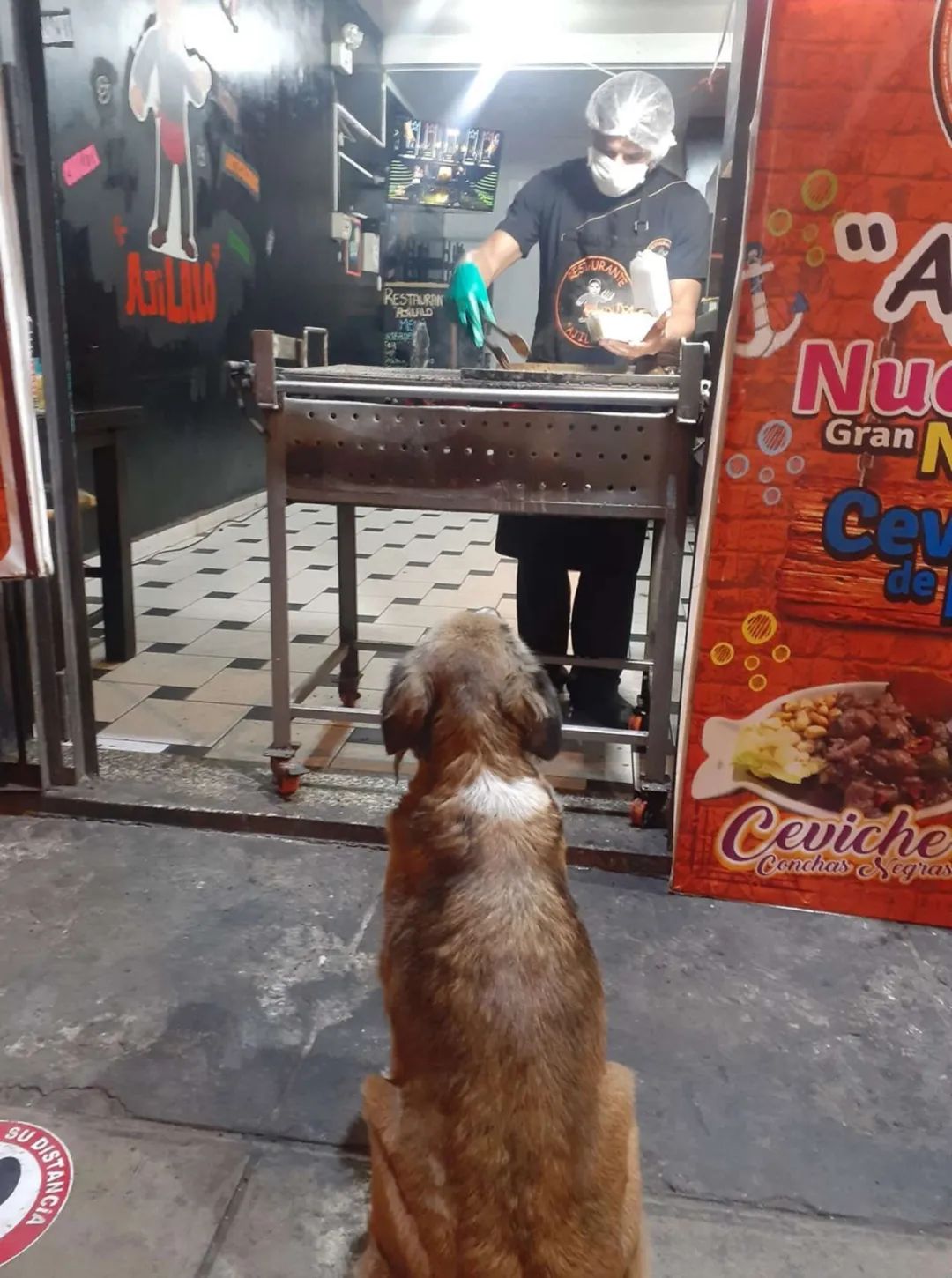 餐厅老板喂了流浪狗一顿饭，几天后竟被一群狗堵了..