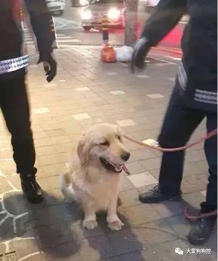 为了不白跑一趟