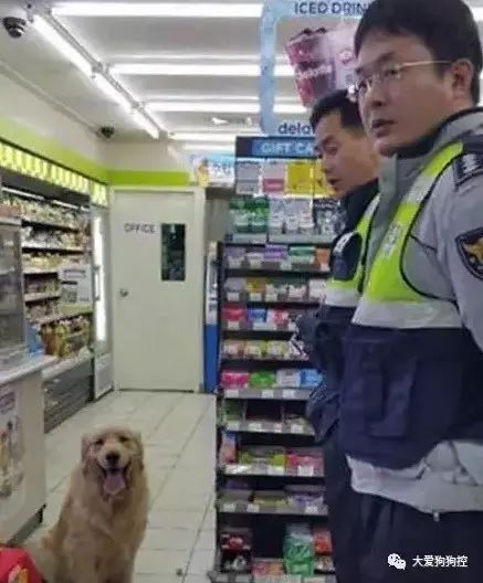 你确定刚才报警
