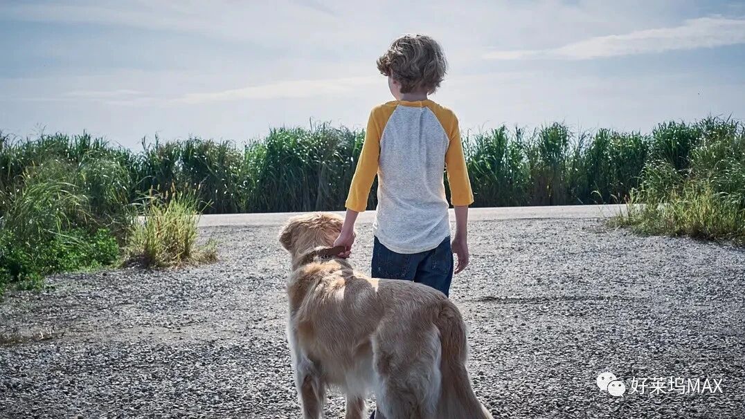 塞翁传奇 టక్ జగదీష్ (2021)