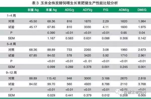 玉米全株发酵饲喂生长育肥猪效果及效益比较研究