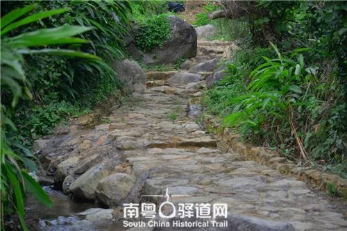 南粤古驿道定向大赛阳江阳西站即将开跑