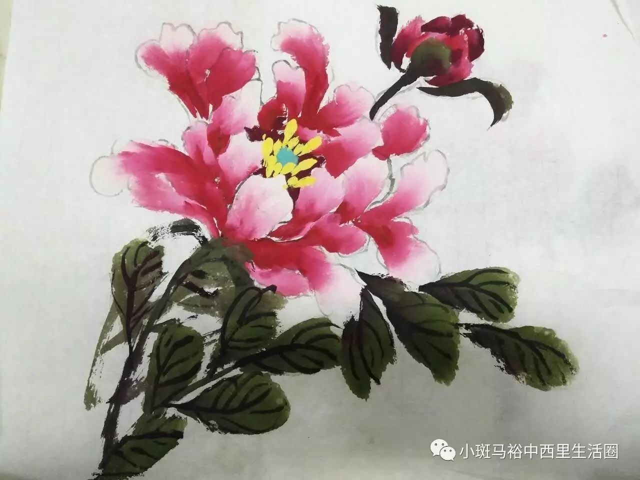 写意画第二课:粉牡丹(视频)-广州鲜花销售联盟