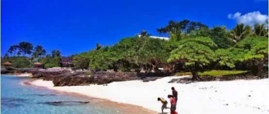 瓦努阿图绿卡的用途你都知道嘛？