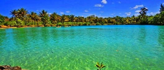 瓦努阿图护照移民，享受浪漫之岛！