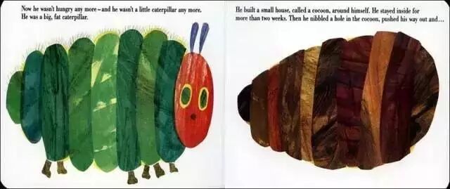 毛毛虫虫的英文怎么说_毛毛虫英文_毛毛虫虫的英语怎么读