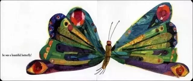 毛毛虫虫的英文怎么说_毛毛虫英文_毛毛虫虫的英语怎么读