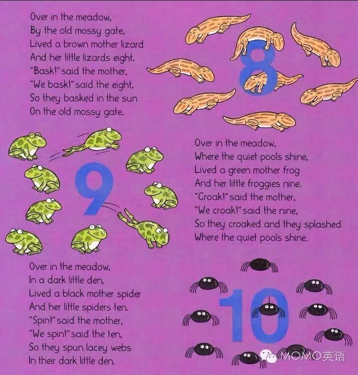 草地的英文怎么拼_草地英文_草地的英文