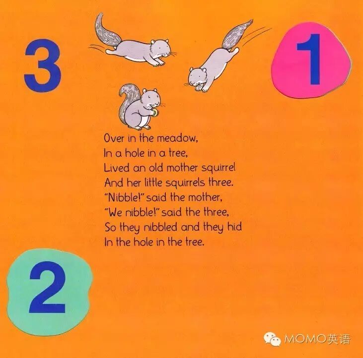 草地英文_草地的英文_草地的英文怎么拼