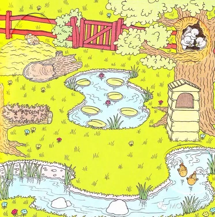 草地的英文_草地英文_草地的英文怎么拼