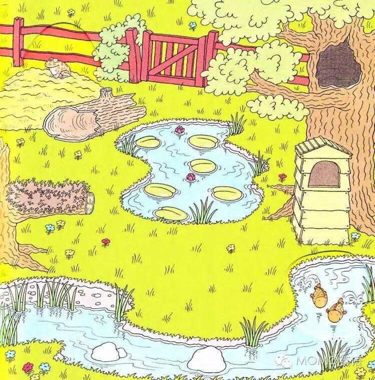 草地的英文_草地英文_草地的英文怎么拼