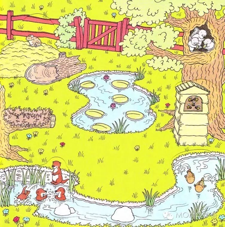 草地的英文_草地英文_草地的英文怎么拼