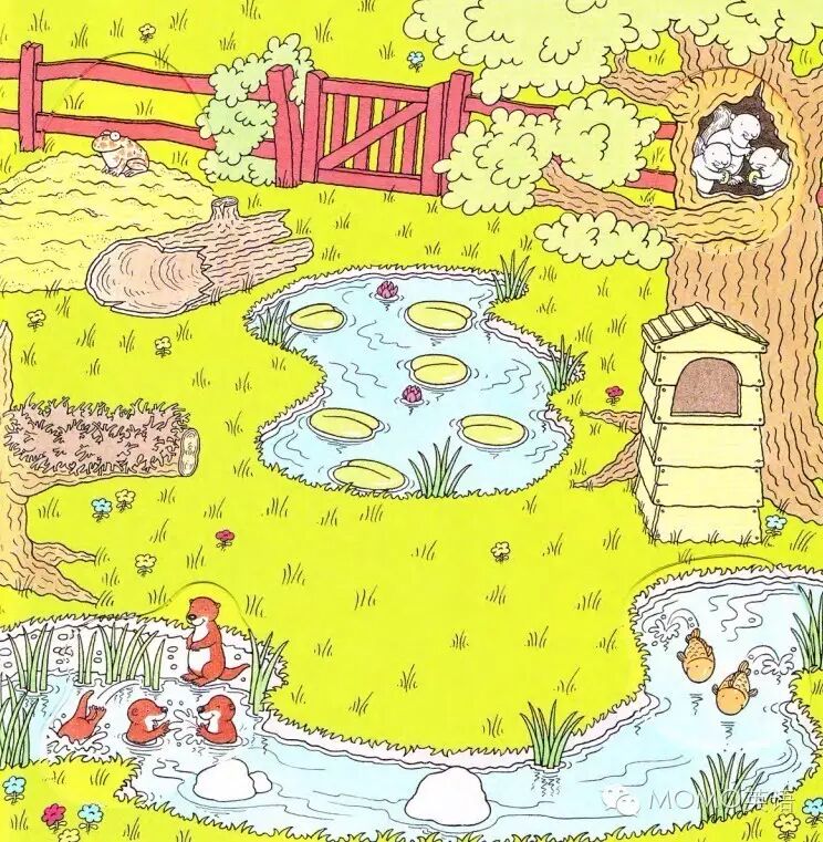 草地的英文_草地的英文怎么拼_草地英文