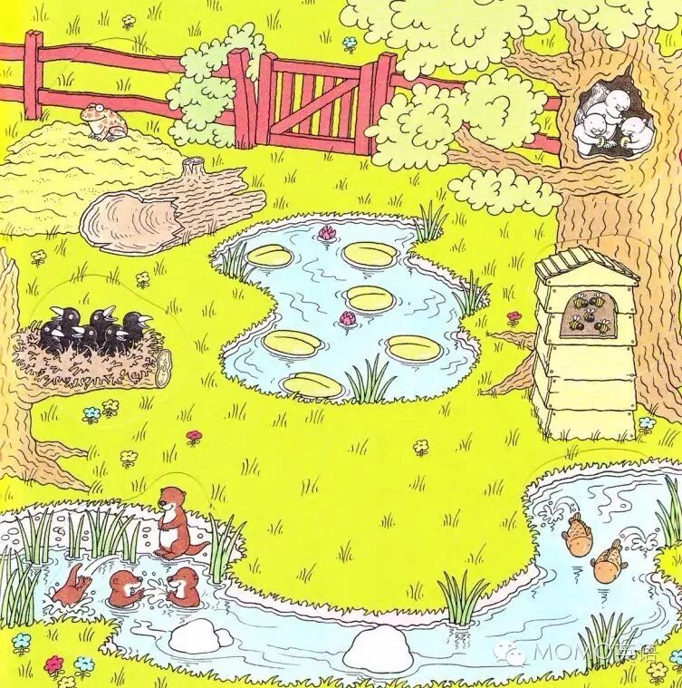 草地英文_草地的英文_草地的英文怎么拼