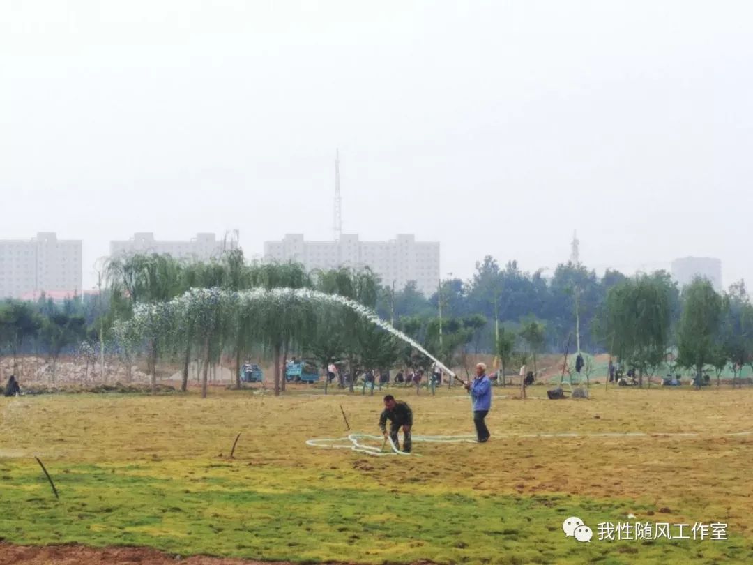 北部新区是大名县重点建设项目,其中北湖景观区即城北渣山公园将会