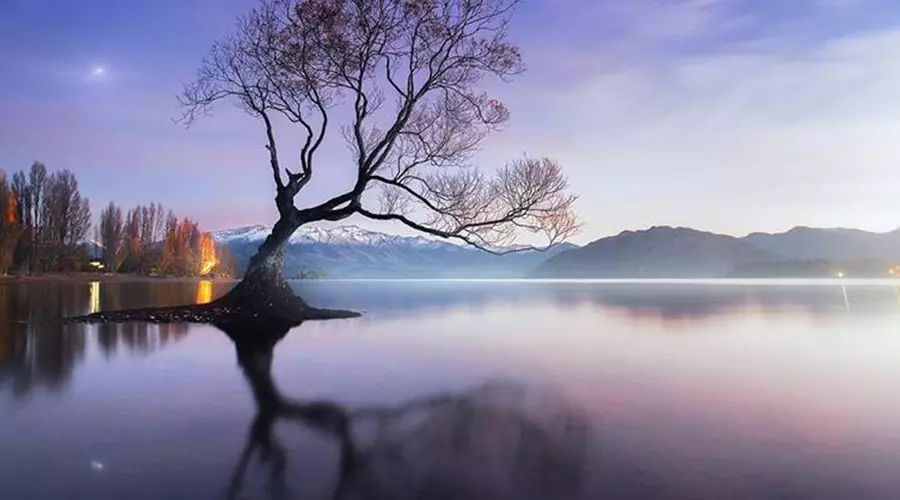 【新西兰】新西兰的绝美风景