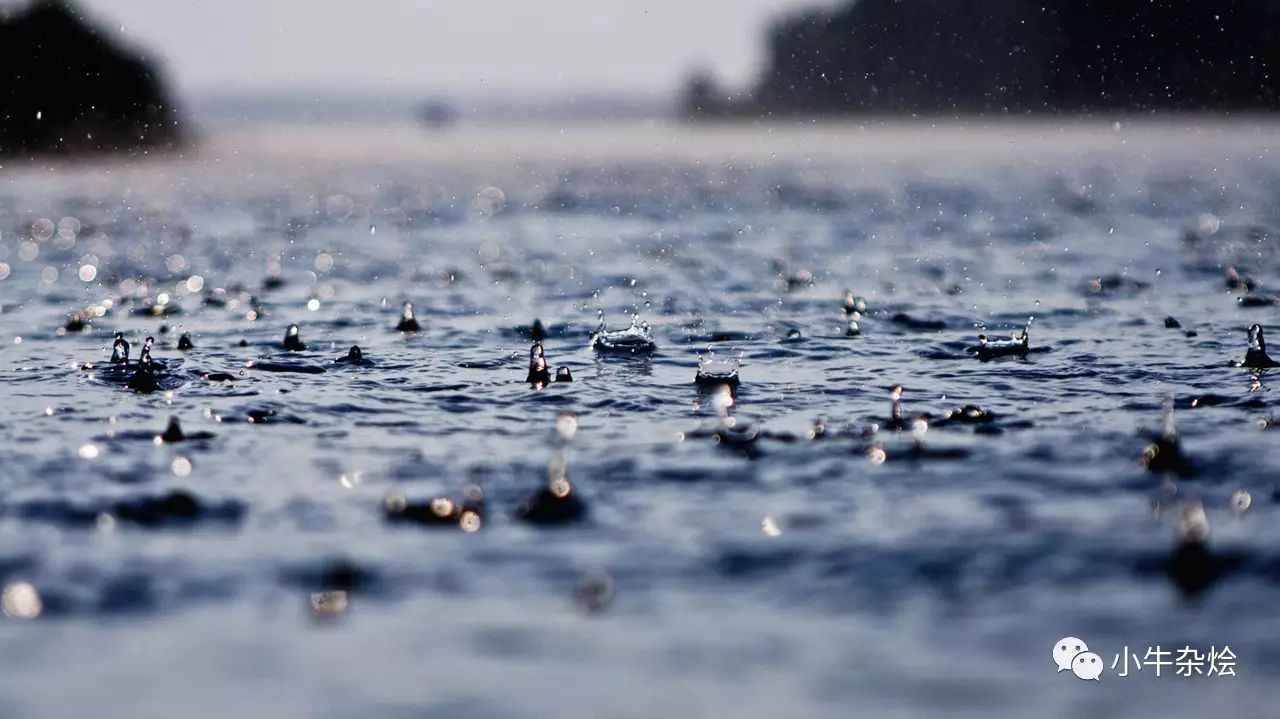 一个人的下雨天