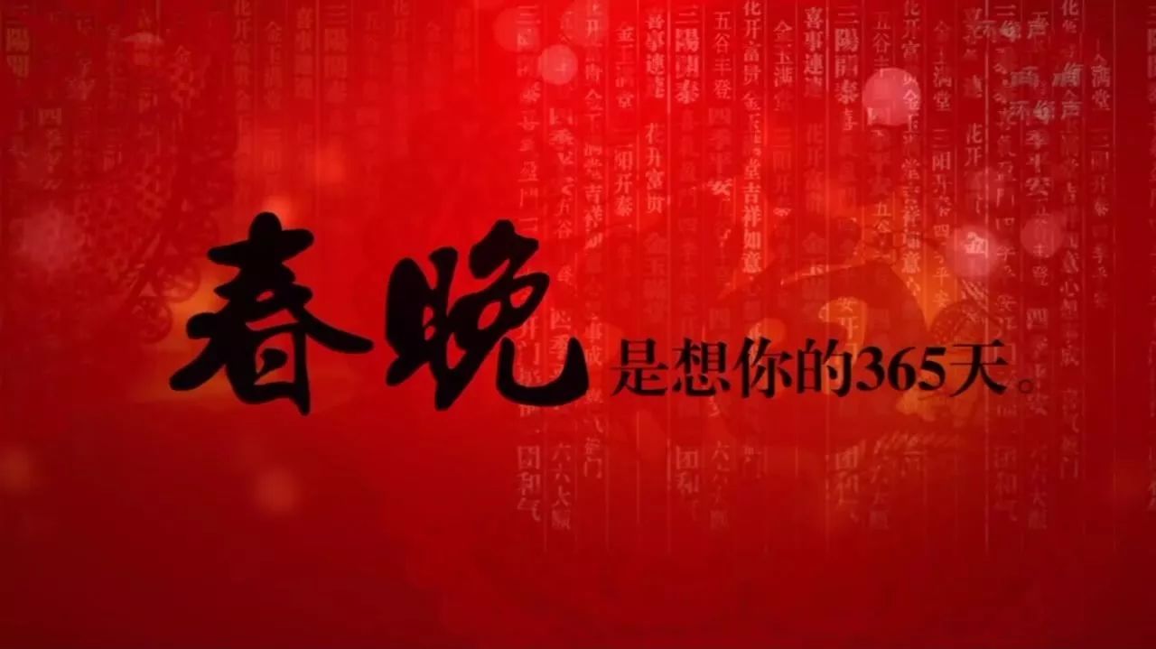 董卿:春晚十三年,感谢有你.