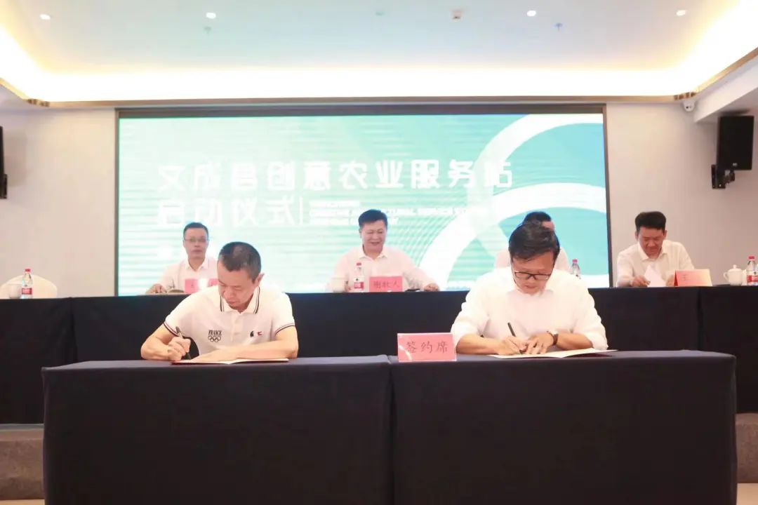 浙江省创意设计协会文成创意农业服务站启动数字直播集训营同步举行