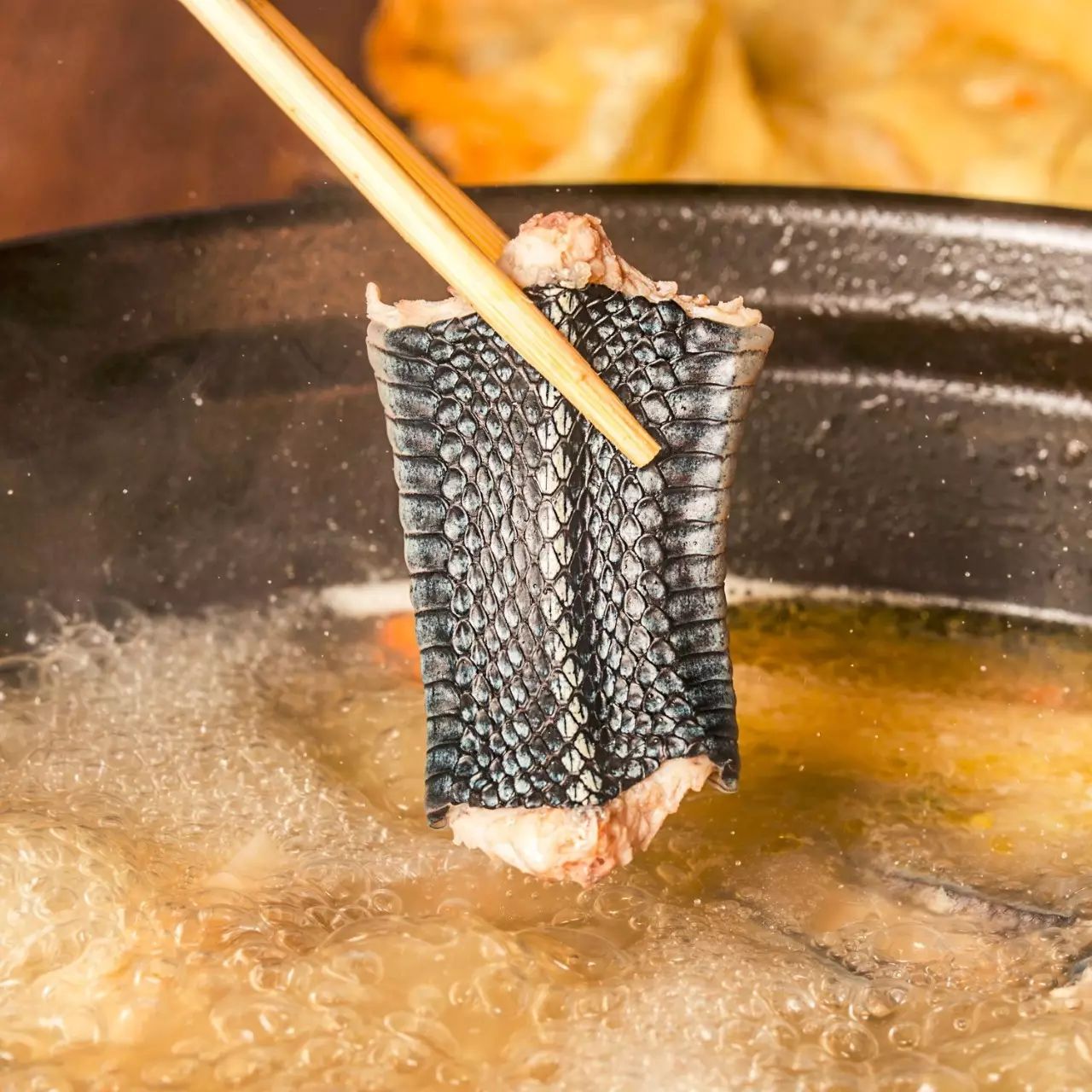 吃蛇肉根本不用怕脂肪热量会过高,真心好吃又健康,比补药还滋补许多!