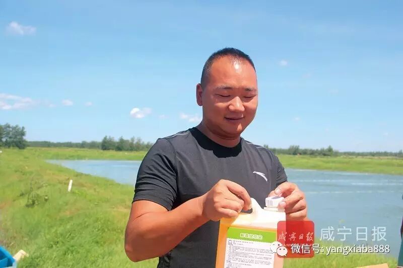 河南小伙扎創業養對蝦,3年時間成就咸寧&ldquo;蝦王&rdquo;