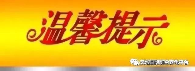 致富经养龟_致富经养龟_致富经养龟