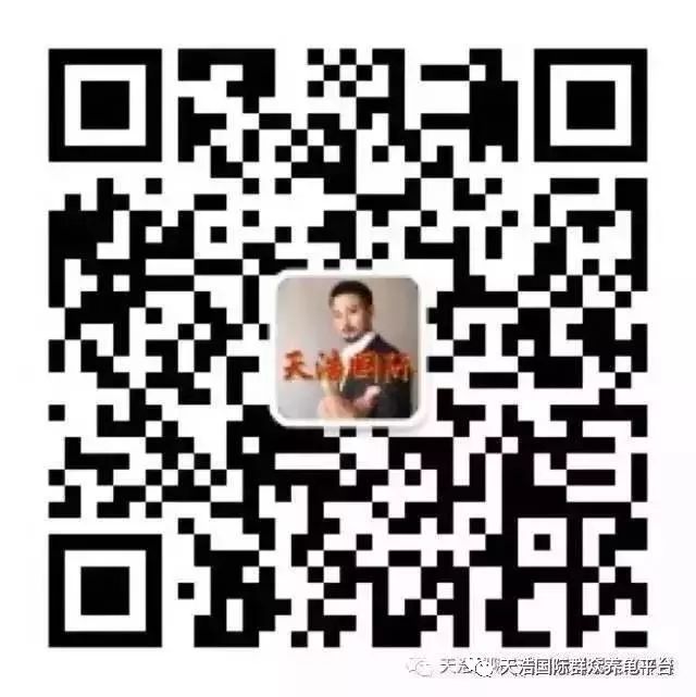 致富经养龟_致富经养龟_致富经养龟